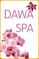 Dawa_SPA